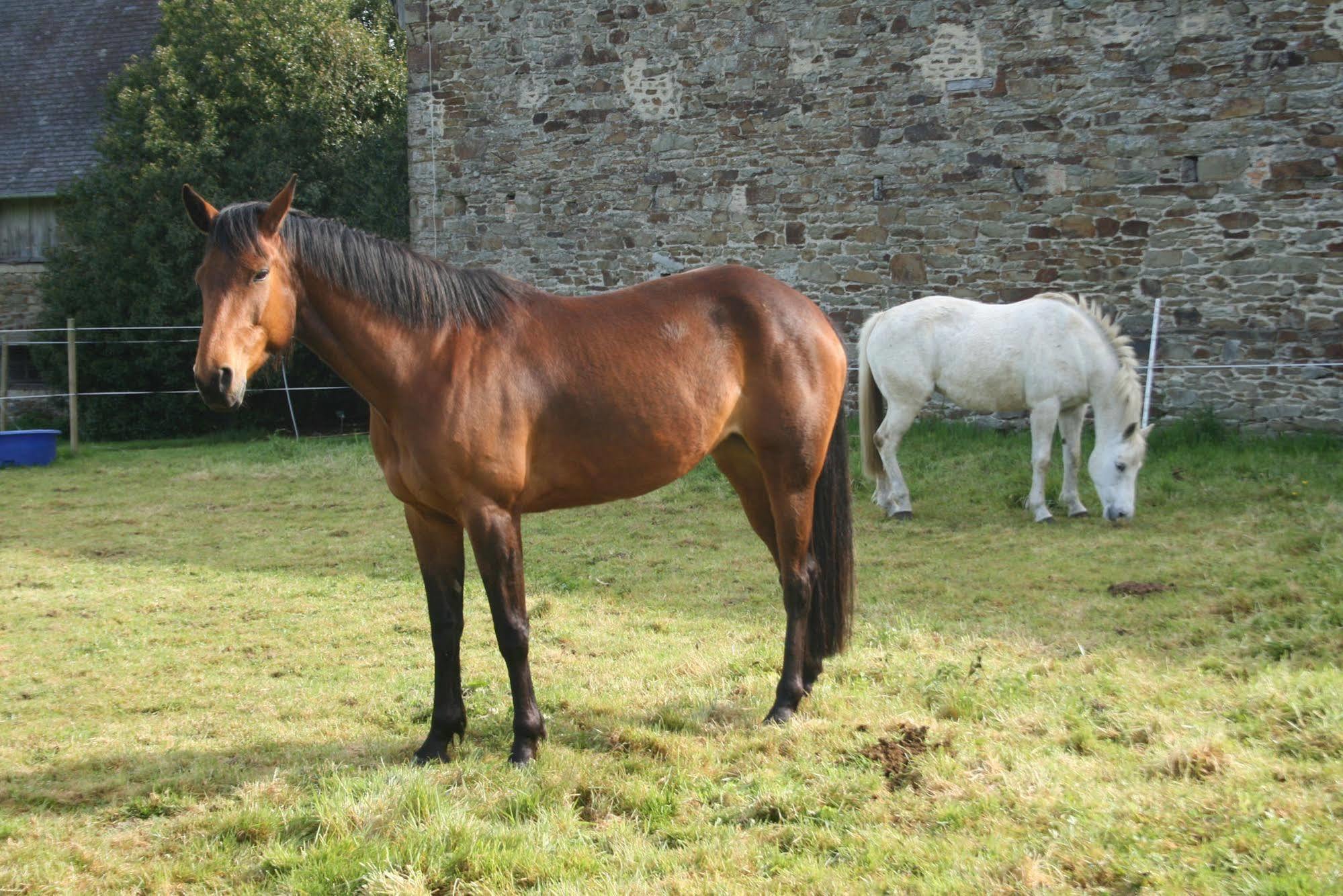Chateau De Canisy Luaran gambar